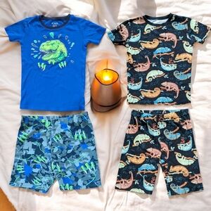 Boys Chameleon and Dino Summer Pajamas Bundle